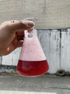 Experimiento de la cerveza colada morada Asuak