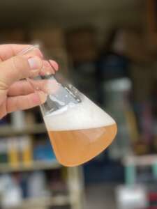 Experimiento de la cerveza Asuak